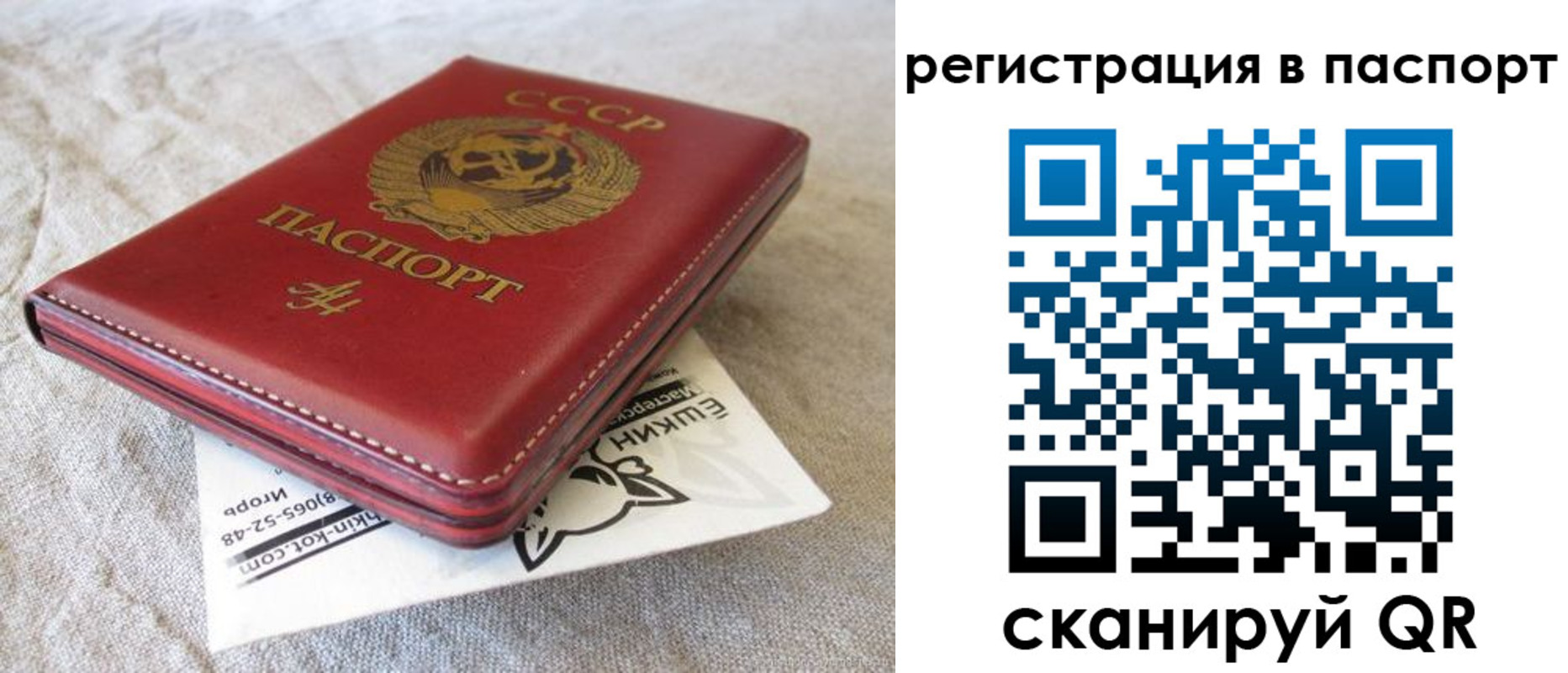 где прописаться в Звенигово
